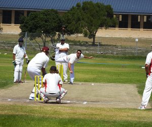 Krieketnuus (12 March 2015)